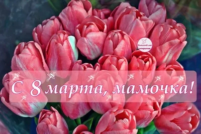 Картинка! Открытка на 8 марта маме! Для мамы! Картинка! Любимая мама, с  праздником тебя хочу поздравить и пожелать... | Картинки, Открытки, Праздник