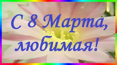 Что подарить жене / девушке на 8 Марта: топ-10 идей | OBOZ.UA