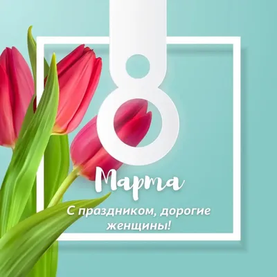 Как поздравить с 14 февраля, 23 февраля, Масленицей и 8 марта в Ярославле -  11 февраля 2021 - 76.ру