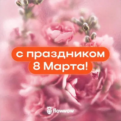 С праздником 8 марта, дорогие женщины!