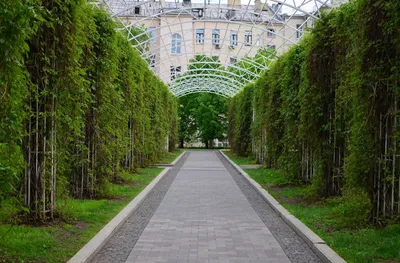 Сад Баумана, Москва — сайт, адрес, метро, карта, выставки, фото, как  добраться