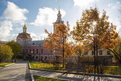 Лепестки мира» в саду имени Баумана – события на сайте «Московские Сезоны»