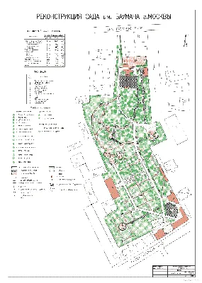 Сад им. Баумана - Pics And Joy