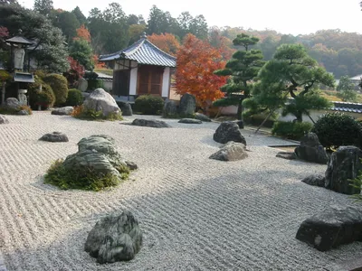 Сад из камней фото фото