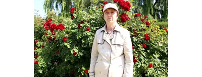 Как посадить РОЗУ весной? Учимся сажать розы по всем правилам - YouTube