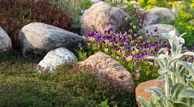 Сад камней своими руками на даче: творчество и отдых - prosad.ru всё про сад  и огород