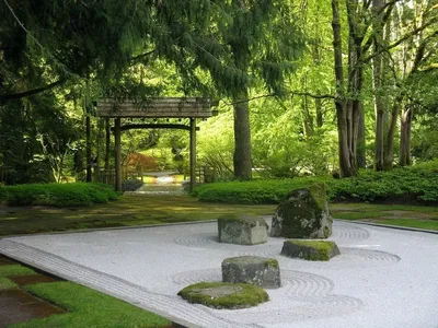 Сад камней – купить японский сад камней по лучшей цене от agdizain.ru