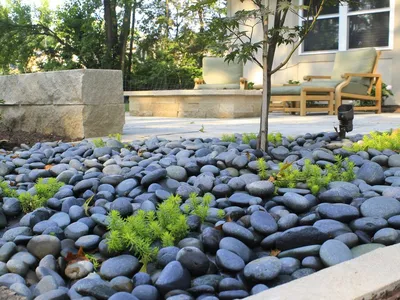Как создать сад камней своими руками – 5 оригинальных идей | Дизайн участка  (Огород.ru)