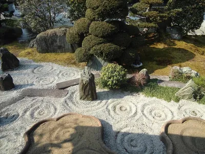 Сад камней своими руками: 50 фото примеров японской композиции | Steinbeet,  Bepflanzung, Steingarten