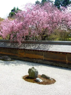 Японский сад камней, сад в японском стиле в Киеве - Магия сада