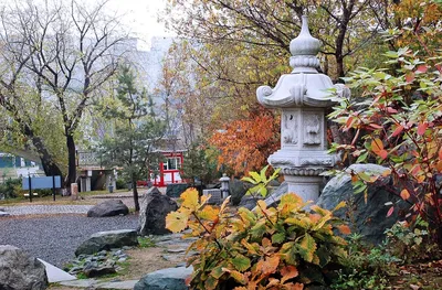Каменные сады Японии - история, лучшие композиции и отечественные аналоги •  Отдых, путешествия и туризм