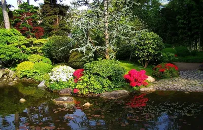 Сад мечты, в реалистичном стиле» — создано в Шедевруме