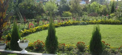 Сад мечты» — создано в Шедевруме
