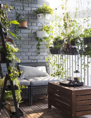 Как создать уютный сад на балконе: 10 советов ландшафтного архитектора