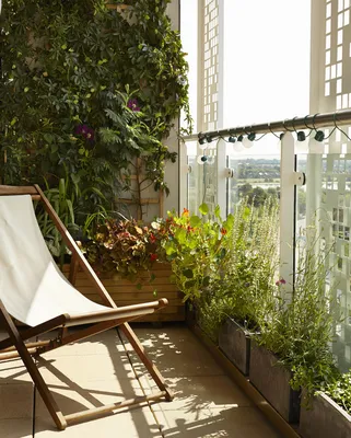 Задай вопрос эксперту: зимний сад на балконе | myDecor