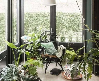 Как обустроить зимний сад на балконе: советы и рекомендации по уходу З |  Комнатные растения. Зимний сад в квартире. | Постила