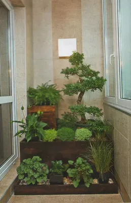 Из коллекции «Сад на балконе дома» | Сад на балконе, Садовые конструкции,  Садоводство на балконе
