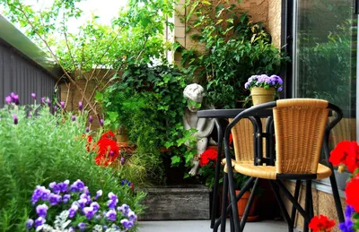 Как создать уютный сад на балконе: 10 советов ландшафтного архитектора