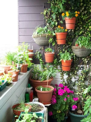ᐉ Вертикальный сад на балконе: фото идеи по созданию вертикального сада на  балконе — подробно в статье от Decor el Home