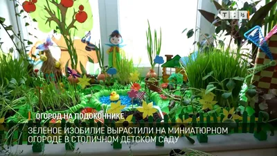 Мини-сад на подоконнике своими руками | ЭКООКНА | Дзен