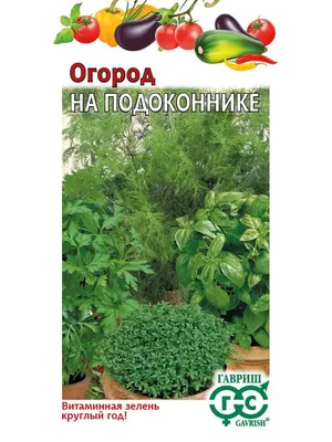 Модный мини-сад на подоконнике | Идеи для садового дизайна, Идеи посадки  растений, Садовые гномы