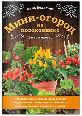 Реализация в детском саду проекта «Огород на подоконнике» (1 фото).  Воспитателям детских садов, школьным учителям и педагогам - Маам.ру