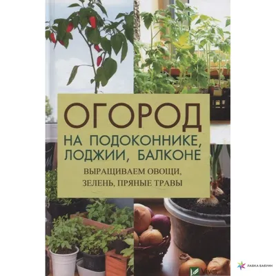 Что можно вырастить дома на подоконнике: сад и огород круглый год