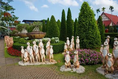 Тропический сад Нонг Нуч © цена и отзывы 2024 года • Travel Mania
