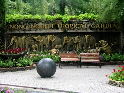 Тропический сад Нонг Нуч с обедом и шоу змей - Экскурсии в Паттайе Таиланде  2023 2024 цены описание отзывы