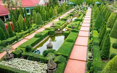 Таиланд Паттайя Парк Нонг Нуч - «Сад Нонг Нуч стоит ли посещать» | отзывы