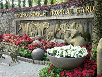 ТРОПИЧЕСКИЙ САД НОНГ НУЧ (Nong Nooch Tropical Garden).