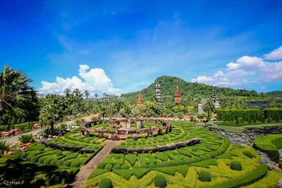 Что посмотреть в Паттайе? Тропический сад Нонг Нуч. | My Pattay | Дзен