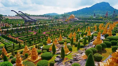 Тропический сад Нонг Нуч 🧭 цена экскурсии $34, 3 отзыва, расписание  экскурсий в Паттайе