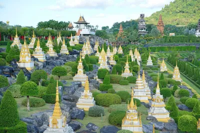 Ботанический сад Нонг Нуч Паттайя - YouTube