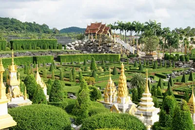Ботанический Сад Нонг Нуч | Тайланд | Турамания