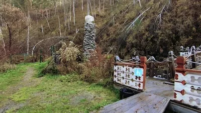 Где на Алтае растёт Аленький цветочек | Русское географическое общество