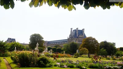Сад Тюильри - I округ Парижа, France | Sygic Travel