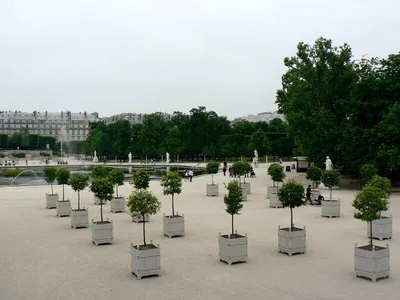 Сад Тюильри, Париж, Франция - «прекрасный старинный сад, здесь можно  проникнуться в жизнь королей» | отзывы