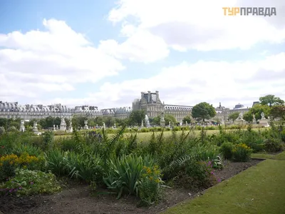 Парк Jardin Des Tuileries сад Тюильри. Редакционное Стоковое Изображение -  изображение насчитывающей дел, строя: 209153959