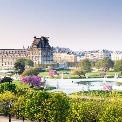 Dior и Лувр отреставрируют сад Тюильри