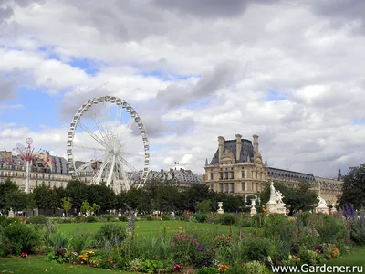Сад Тюильри, Париж - безмятежный отдых на природе