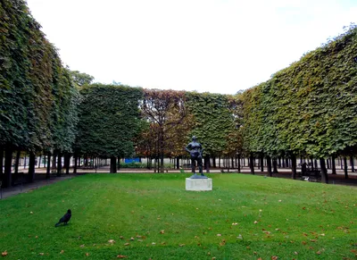 Сад Тюильри, Париж, Франция - «прекрасный старинный сад, здесь можно  проникнуться в жизнь королей» | отзывы