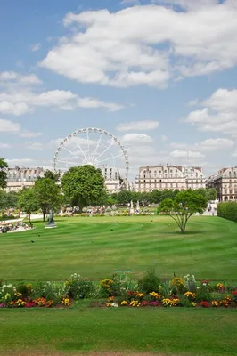 Сад Тюильри (Jardin des Tuileries) | Поездка в Париж