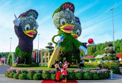 Парк цветов в Дубае Miracle Garden - Описание и Фото - Цены