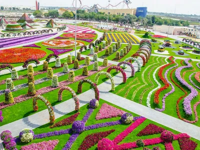 Парк цветов в Дубае Miracle Garden - наш обзор с фото, ценами, как  добраться | Оnly2weeks - путешествия своим ходом