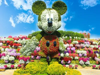 Парк цветов в Дубае - Dubai Miracle Garden