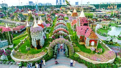 Парк цветов в Дубае (Dubai Miracle Garden)