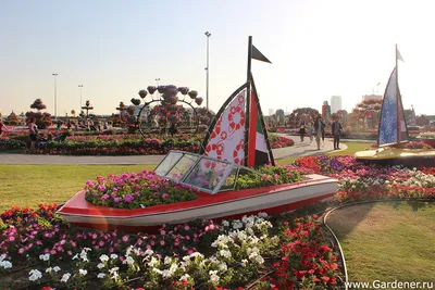 Купить билеты в Dubai Miracle Garden: цены и описание экскурсии от Emirates  Fishing Tour