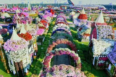 Парк цветов в Дубае Miracle Garden - Описание и Фото - Цены