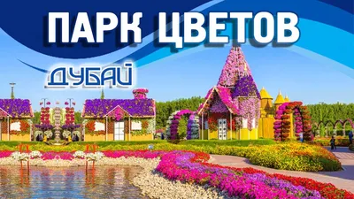 Что посмотреть в парке в Дубаи туристам